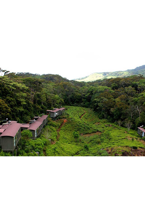 35% Off Flash Sale!!! (Local)