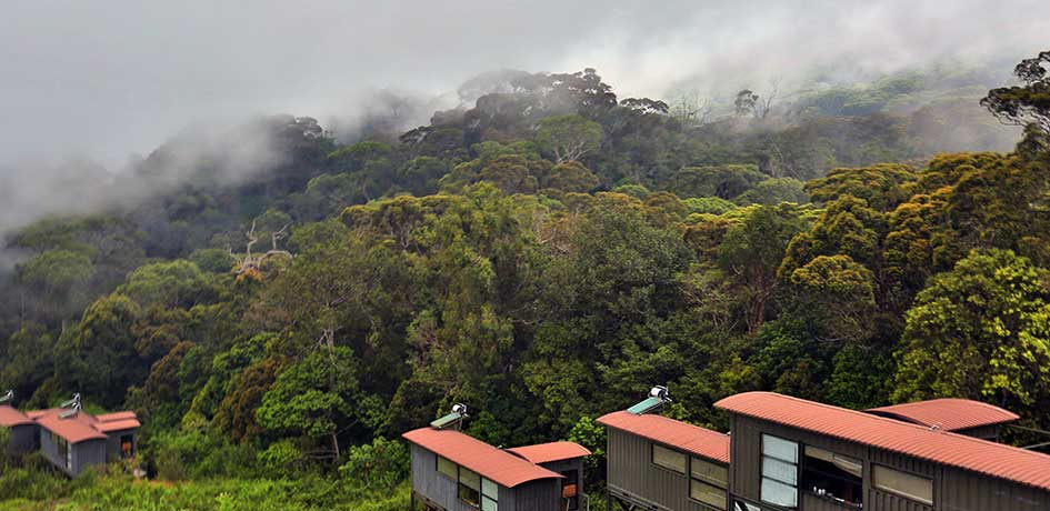 Mist covered forests surrounding the area